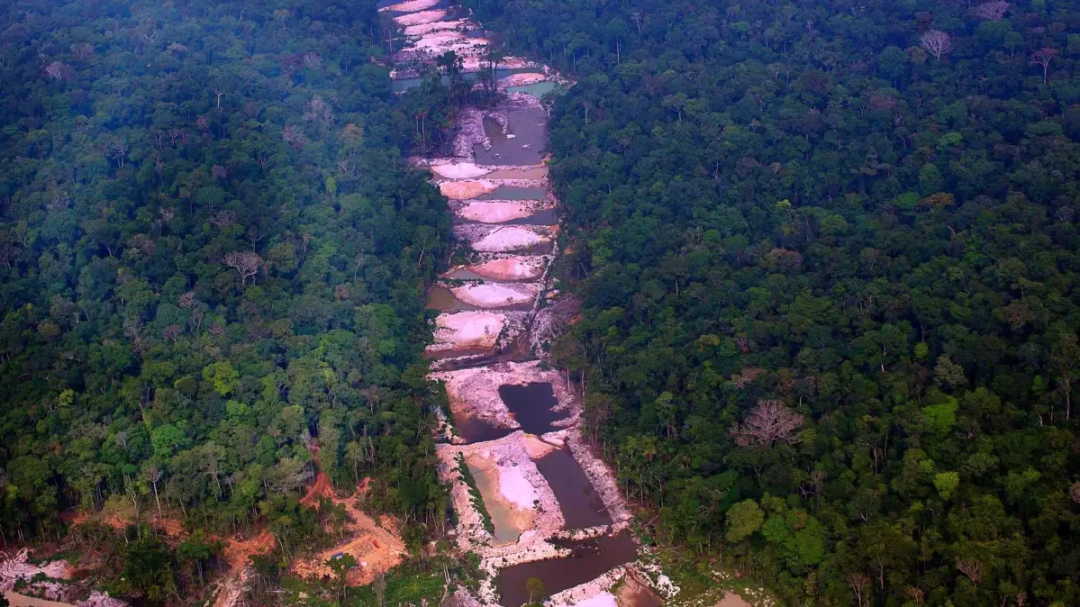 Amaz&ocirc;nia Legal concentra mortes por conflitos no campo brasileiro