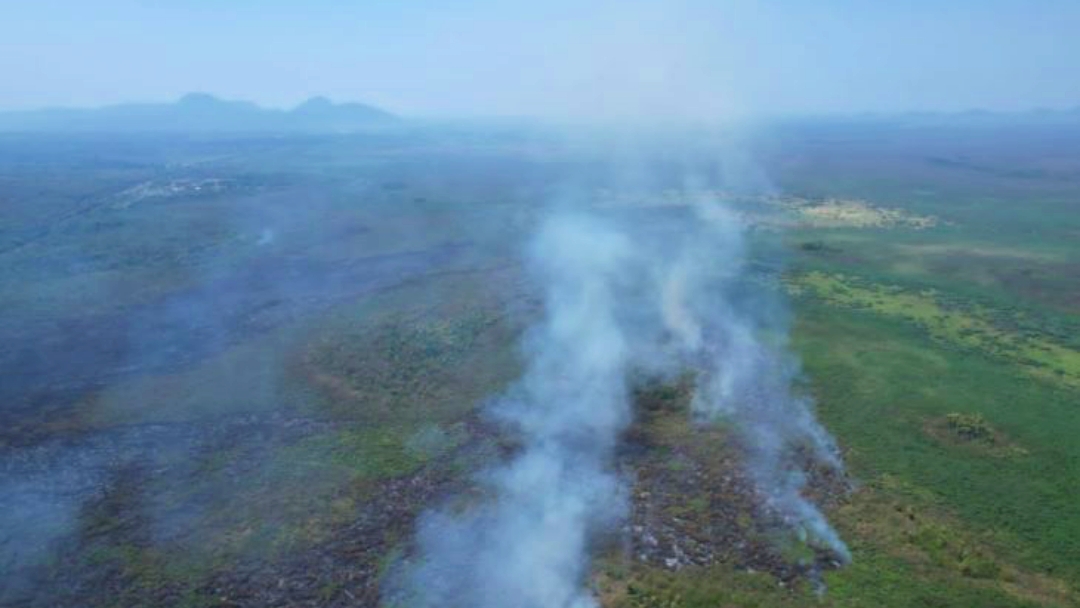 Apoiado pelo Fundect, projeto em MS busca alternativa para evitar inc&ecirc;ndios no Pantanal