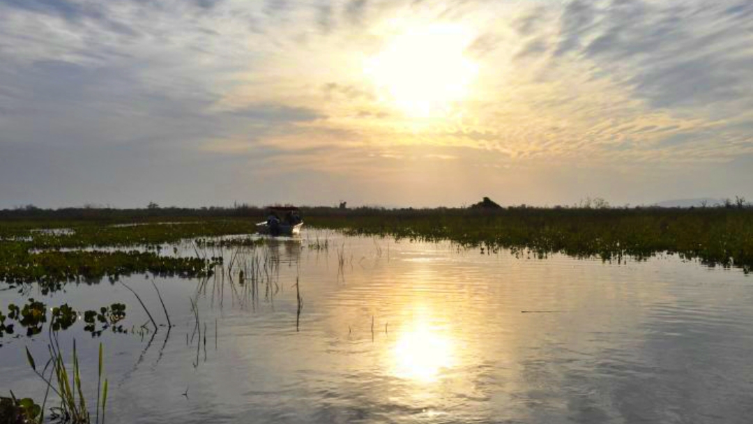 Sexta-feira tem previs&atilde;o de sol e possibilidade de chuvas em Mato Grosso do Sul