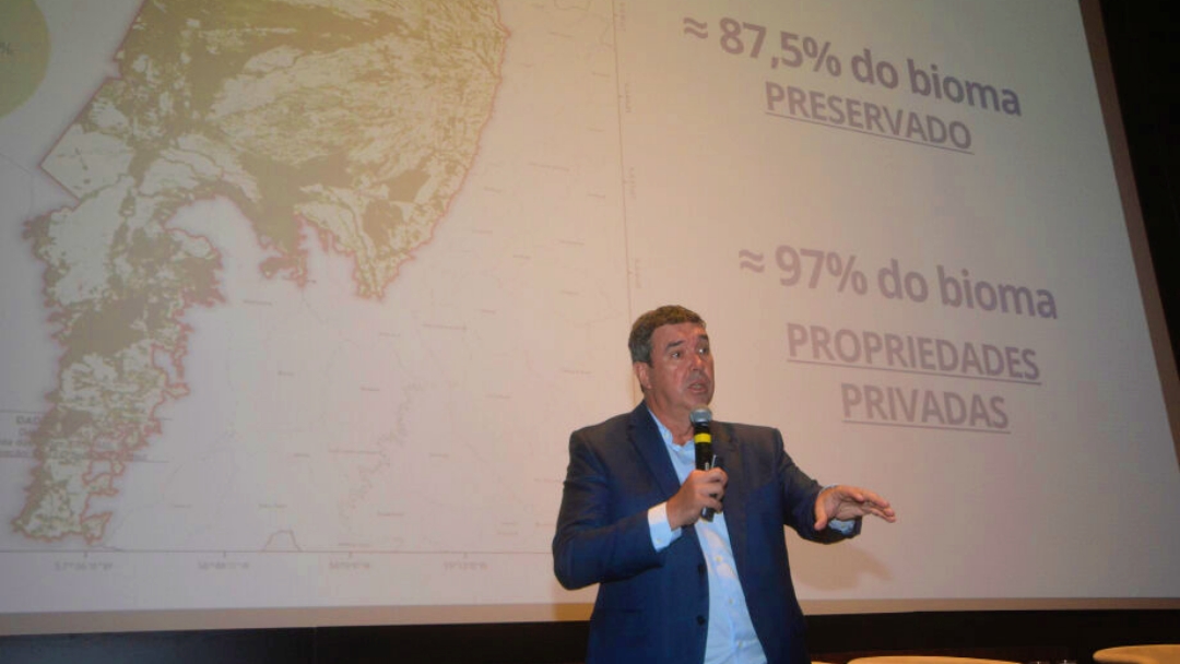 Governo e BNDES planejam fundo com capta&ccedil;&atilde;o global para preservar o Pantanal