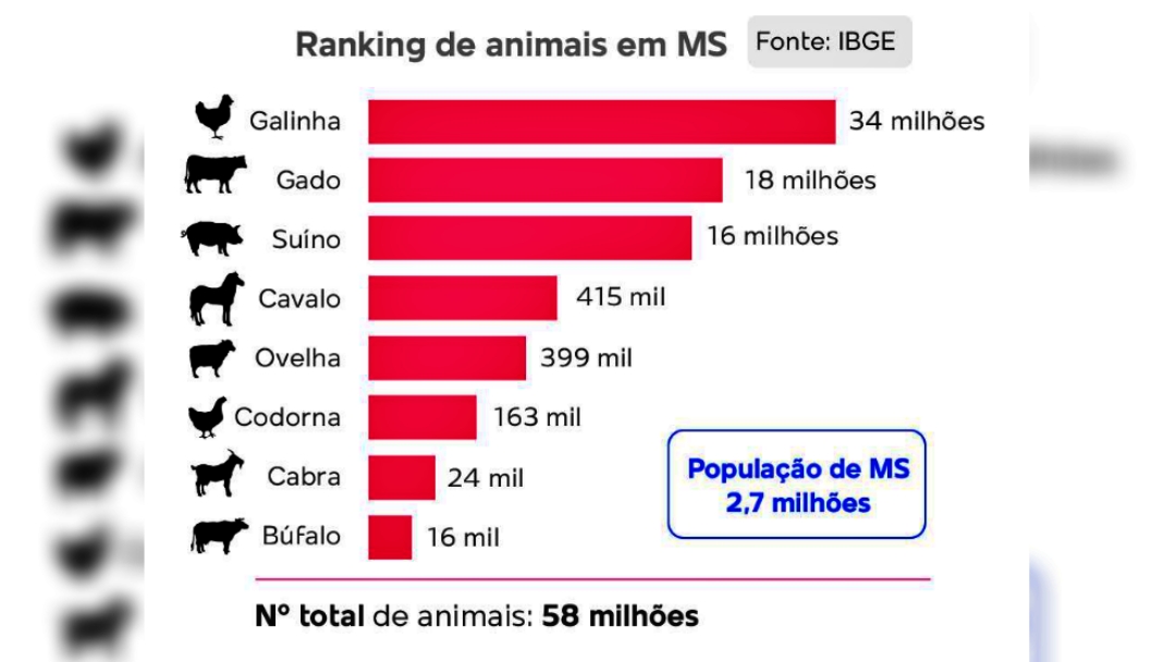 Censo pecu&aacute;rio mostra Sidrol&acirc;ndia com popula&ccedil;&atilde;o animal 154 vezes maior que a humana 