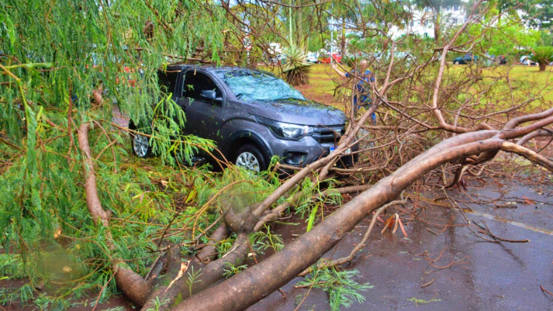 Ap&oacute;s caos em SP, MS se prepara para amenizar danos em temporais