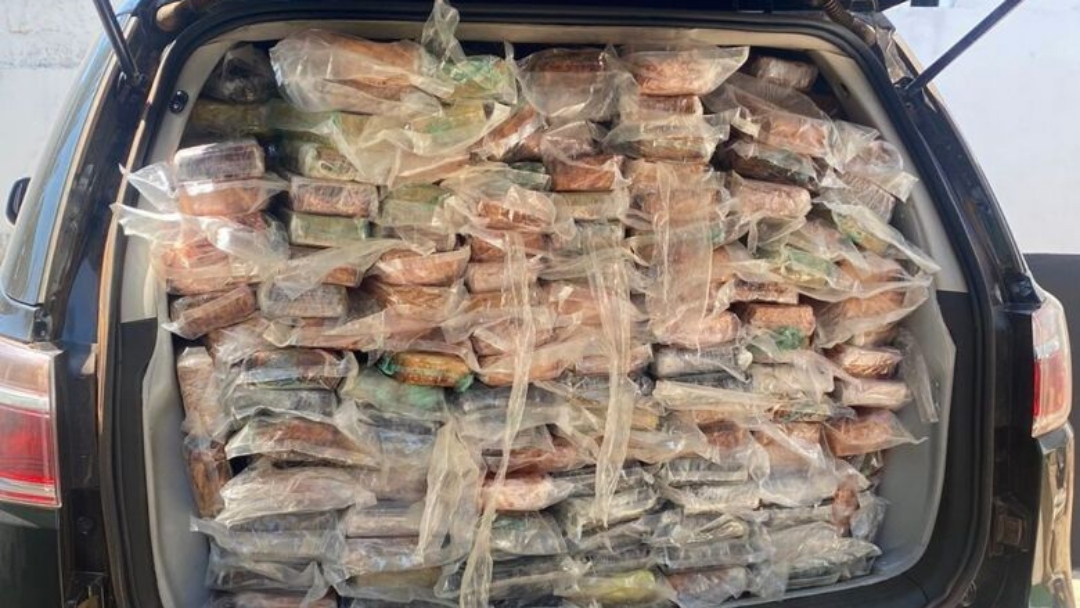 Pol&iacute;cia Civil incinera 791 kg de drogas apreendidas 