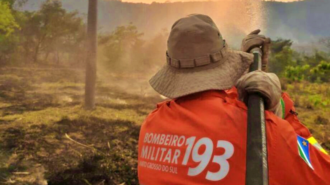 Focos de queimadas no Pantanal s&atilde;o zerados e equipes fazem monitoramento