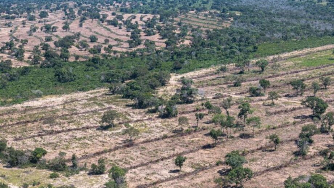 Em meio a constru&ccedil;&atilde;o da Lei do Pantanal, Abin discutir&aacute; mudan&ccedil;as clim&aacute;ticas em MS