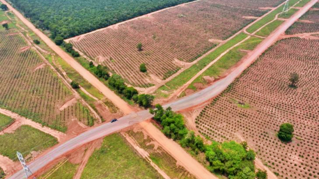 Governo de MS e Suzano firmam parceria para recuperar 378 km de rodovias em MS