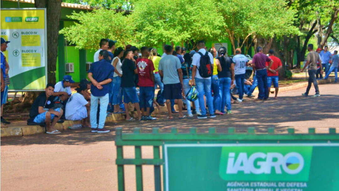 Iagro lacra frigor&iacute;fico e funcion&aacute;rios temem ficar desempregados