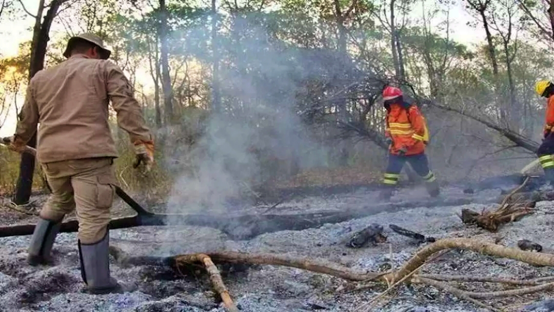 Portaria federal reconhece emerg&ecirc;ncia em munic&iacute;pios do Pantanal de MS  