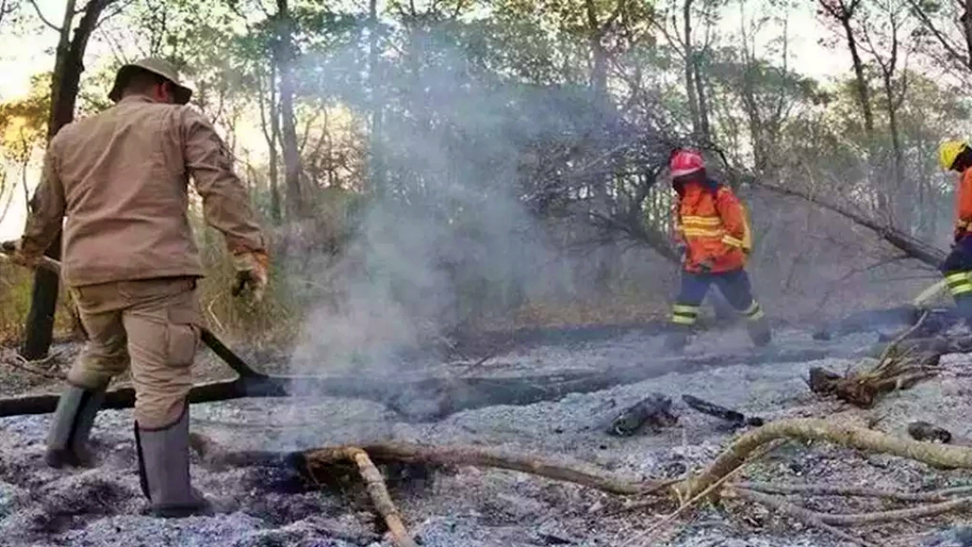 Fazenda que deu origem a inc&ecirc;ndio no Pantanal &eacute; multada em 19 milh&otilde;es 