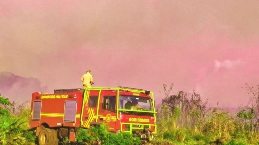 Com treinamento e tecnologia, atua&ccedil;&atilde;o dos bombeiros &eacute; destaque no combate a inc&ecirc;ndios florestais