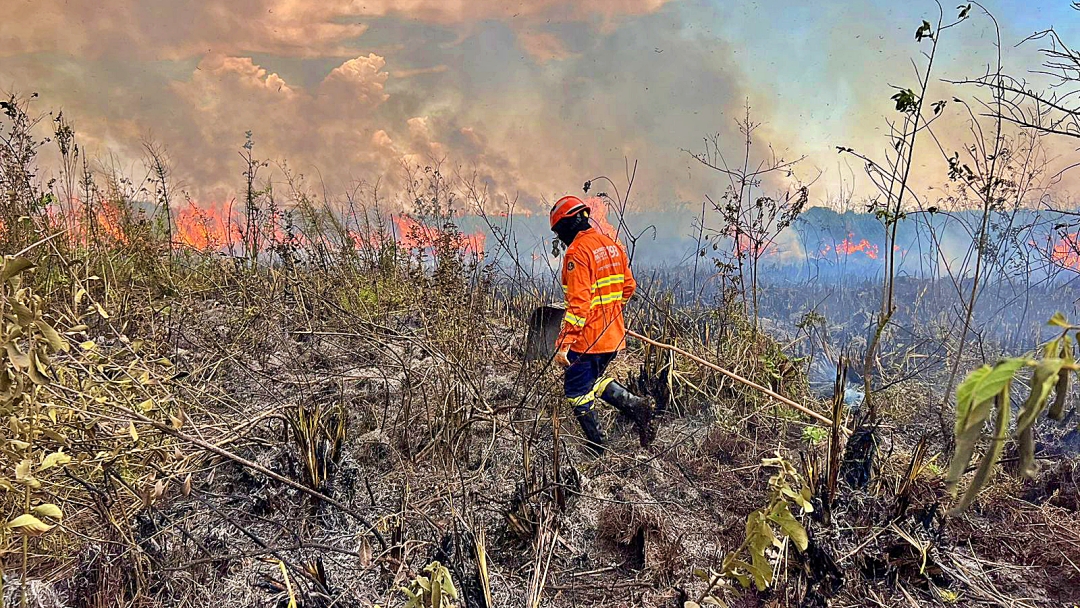 Com treinamento e tecnologia, atua&ccedil;&atilde;o dos bombeiros &eacute; destaque no combate a inc&ecirc;ndios florestais