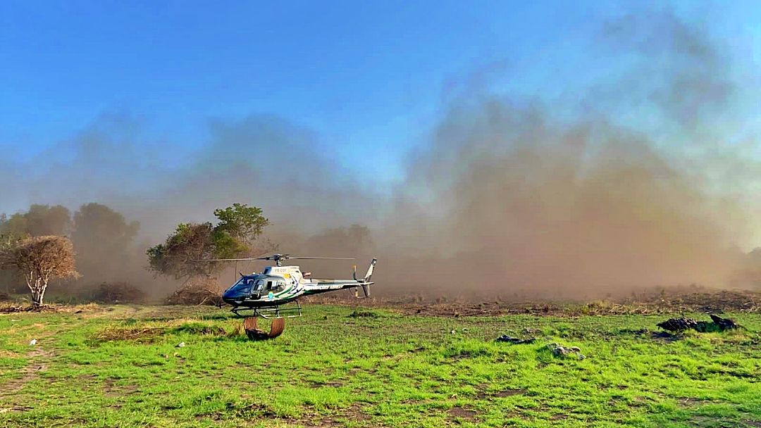 Com treinamento e tecnologia, atua&ccedil;&atilde;o dos bombeiros &eacute; destaque no combate a inc&ecirc;ndios florestais