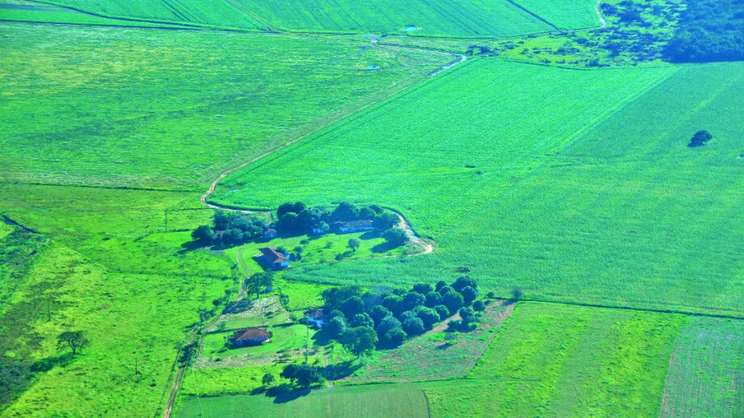 Produtores rurais de Mato Grosso do Sul devem mais de R$ 500 milh&otilde;es