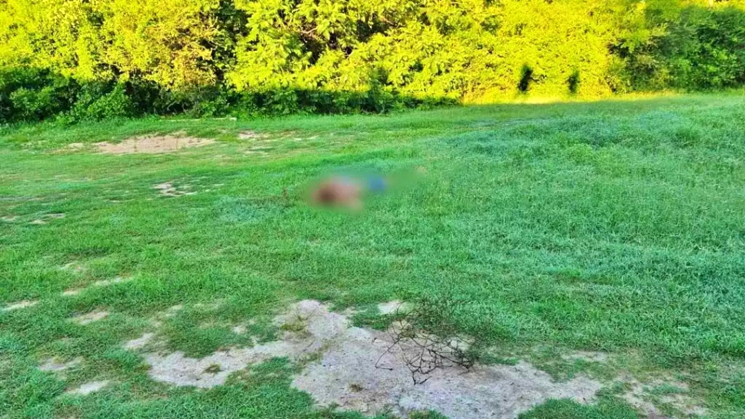 Mulher é encontrada morta com mãos amarradas e corte profundo no pescoço