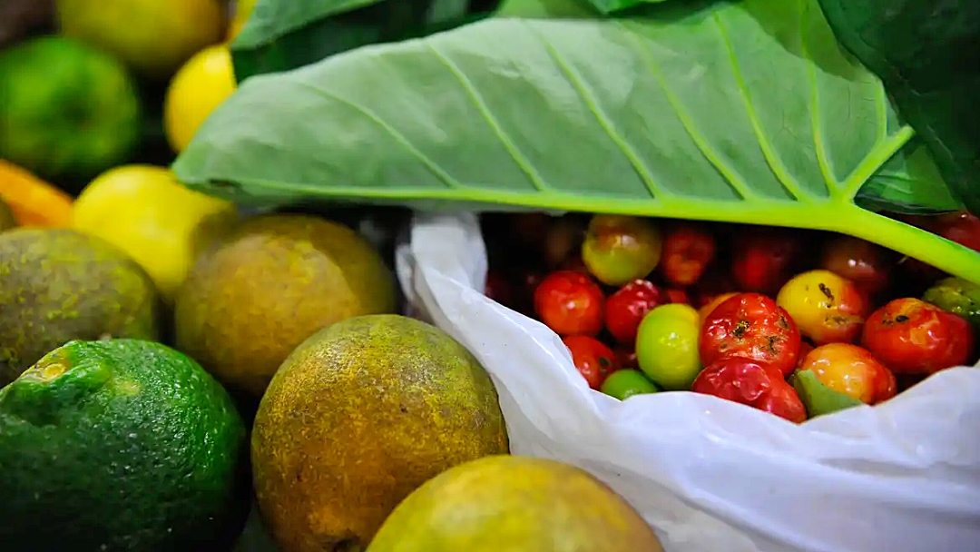 Lula sanciona com vetos Projeto de Lei dos Agrotóxicos