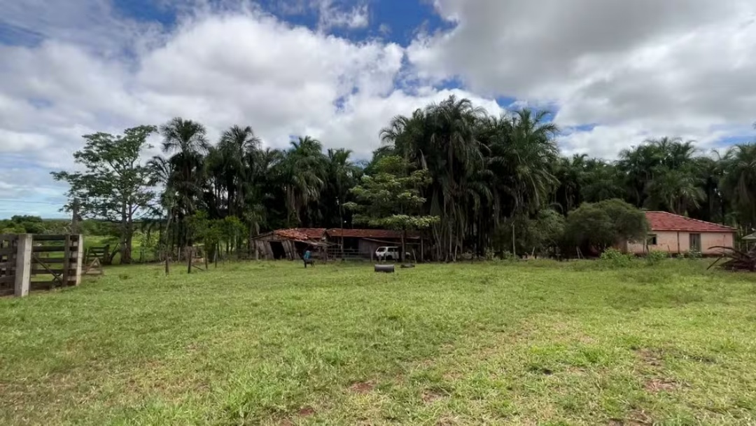 Testemunha que negou socorro à idosa atacada com machado tinha mandado de prisão por estupro