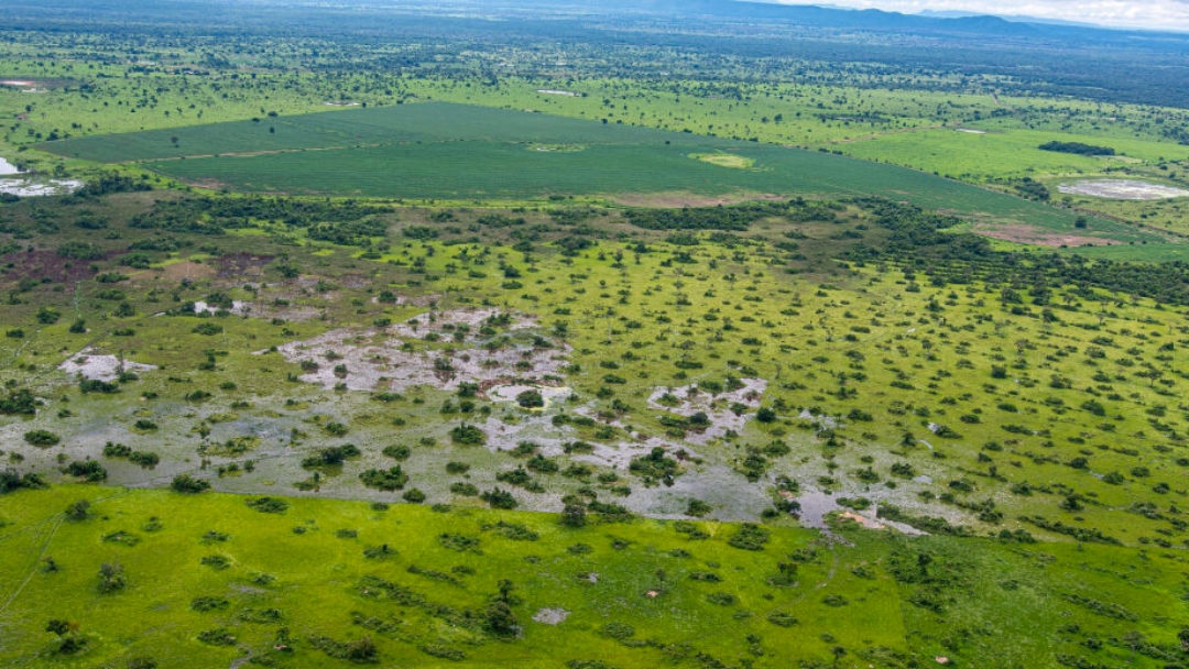 Pantanal deve ter cheias abaixo da m&eacute;dia em 2024 e cen&aacute;rio &eacute; de alerta