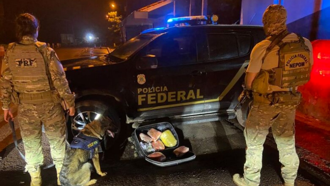 A&ccedil;&atilde;o conjunta apreende skunk em &ocirc;nibus de viagem 