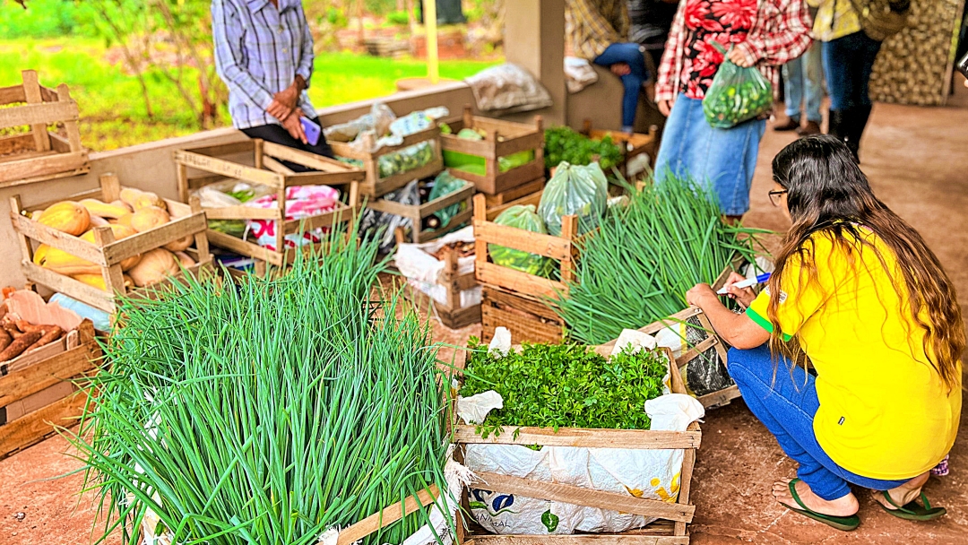 Cesta Verde garante renda no campo e alimento para fam&iacute;lias de programas sociais  