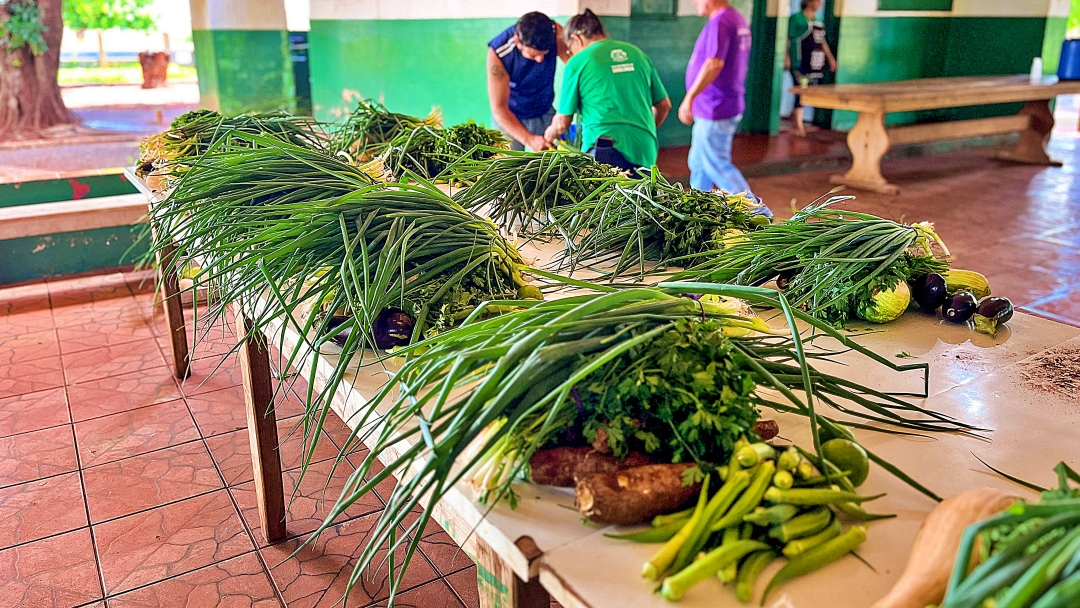 Cesta Verde garante renda no campo e alimento para fam&iacute;lias de programas sociais  