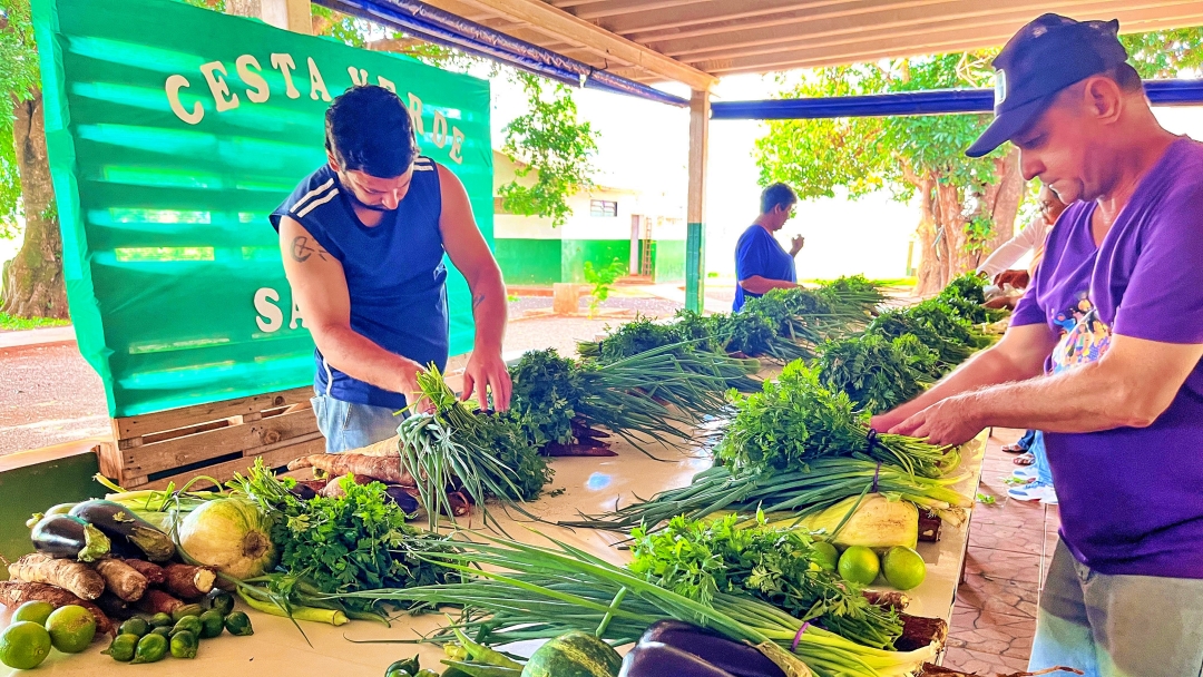 Cesta Verde garante renda no campo e alimento para fam&iacute;lias de programas sociais  