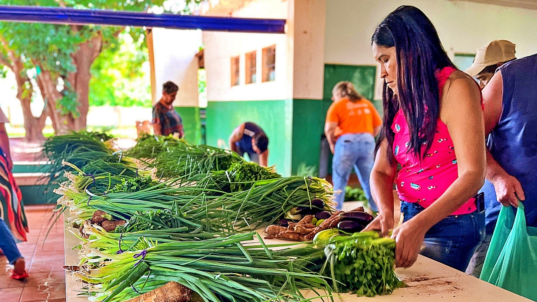 Cesta Verde garante renda no campo e alimento para fam&iacute;lias de programas sociais  