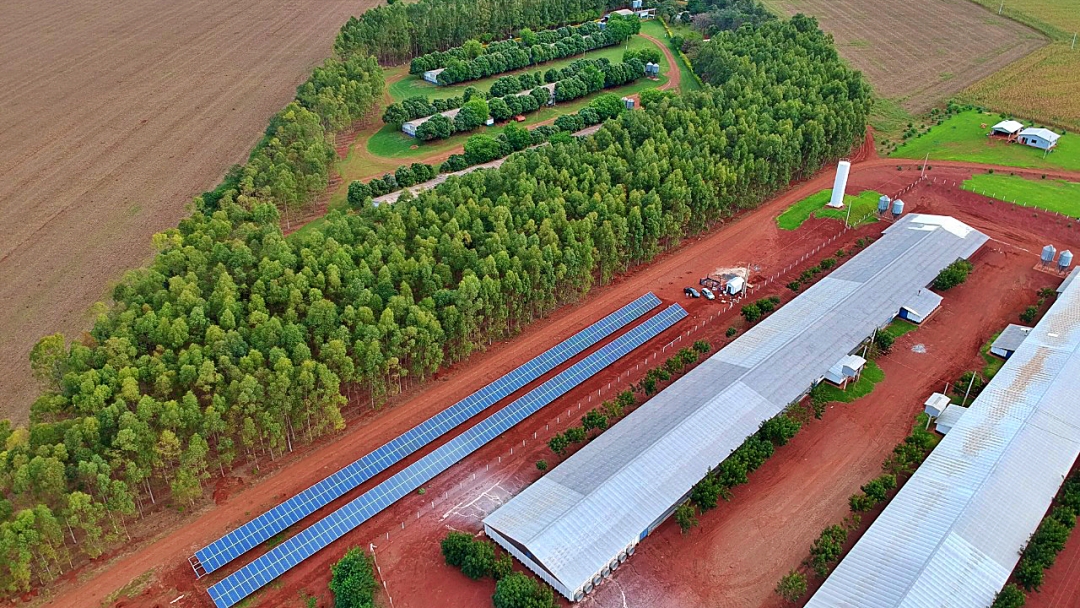 Avicultores sidrolandenses recebem incentivo de R$ 12,7 milh&otilde;es para modernizar produ&ccedil;&atilde;o 