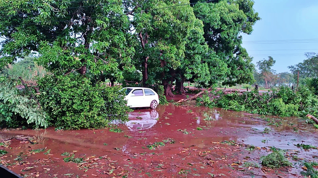 Temporal destelha e danifica casas na Vila Cebola no Quebra Coco