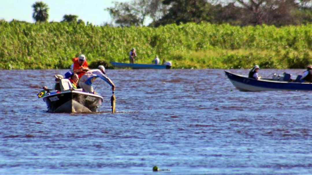 A partir desta quinta, modalidade &lsquo;pesque e solte&rsquo; est&aacute; liberada nos rios Paraguai e Paran&aacute;