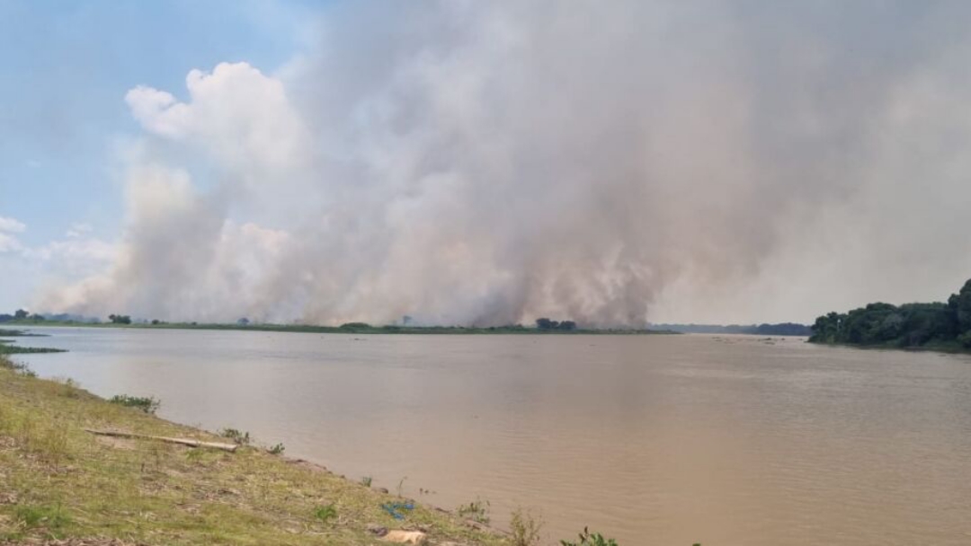 Estiagem fora de &eacute;poca faz Pantanal arder em chamas nesse in&iacute;cio de ano