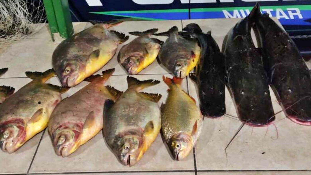 Pescador profissional &eacute; preso por pesca predat&oacute;ria