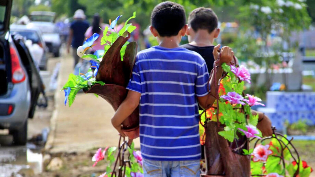 MS &eacute; o estado com mais registros de trabalho infantil nas piores atividades