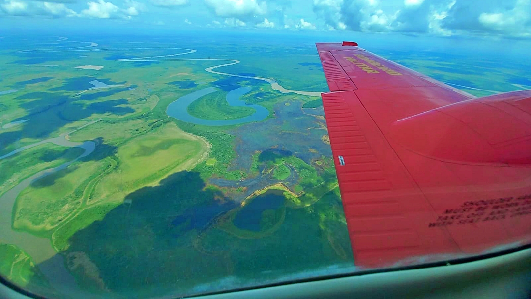 Com atua&ccedil;&atilde;o coordenada por terra e ar, bombeiros de MS controlam inc&ecirc;ndio no Pantanal