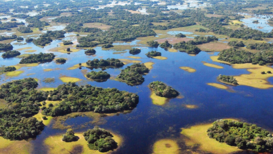 Lei do Pantanal entra em vigor com fiscaliza&ccedil;&atilde;o via sat&eacute;lite