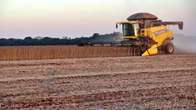 Colheita da soja em MS acelera e j&aacute; supera 2 milh&otilde;es de hectares  