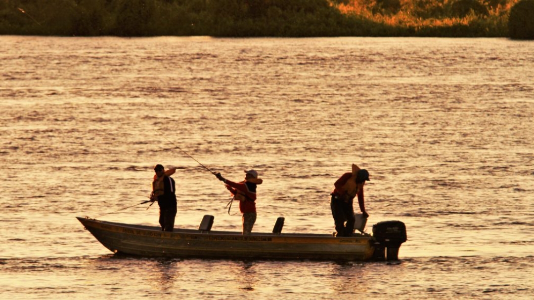 Reaberta temporada de pesca a partir dessa quinta-feira; Imasul alerta para regras ambientais