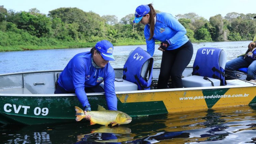 Pesca do dourado continua proibida nos rios de MS at&eacute; mar&ccedil;o de 2025