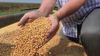 Levantamento aponta que exporta&ccedil;&otilde;es de soja do Brasil devem cair em 2024