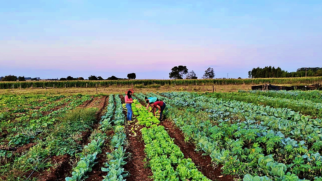 Assentados garantem R$ 9 milh&otilde;es de faturamento com venda de hortigranjeiros