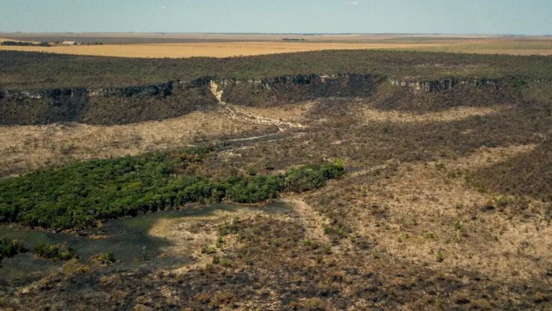 Governo monta for&ccedil;a-tarefa para conter desmatamento no Cerrado