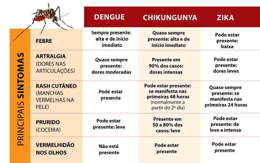 Com 200 casos prov&aacute;veis, Sidrol&acirc;ndia registra alta incid&ecirc;ncia de Chikungunya 