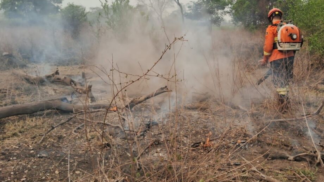 Sat&eacute;lite mostra que desmatamento ilegal se mant&eacute;m no Pantanal de MS