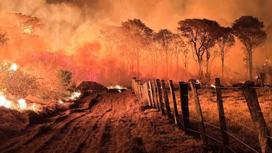 Risco de fogo no Pantanal est&aacute; concentrado em 127 fazendas