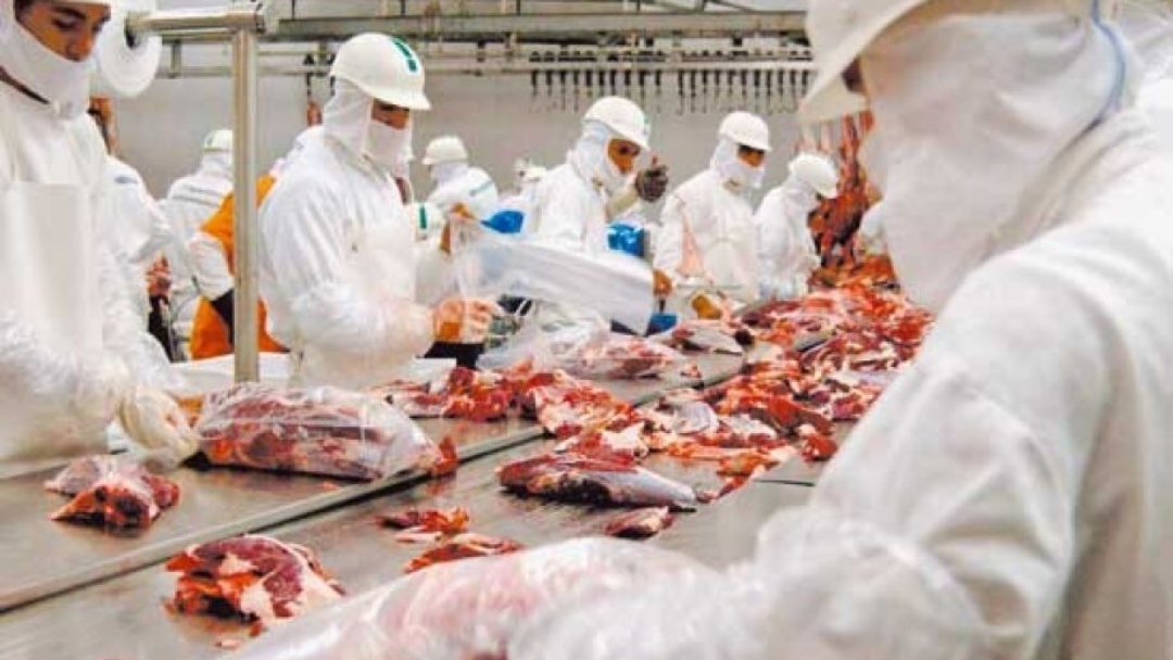 MS quintuplica a capacidade de exporta&ccedil;&atilde;o de carne para a China