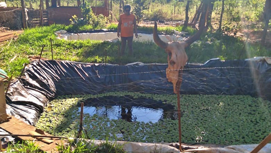 Com ajuda do neto, aos 64 anos, dona Luiza escava tanques de piscicultura no Alambari 