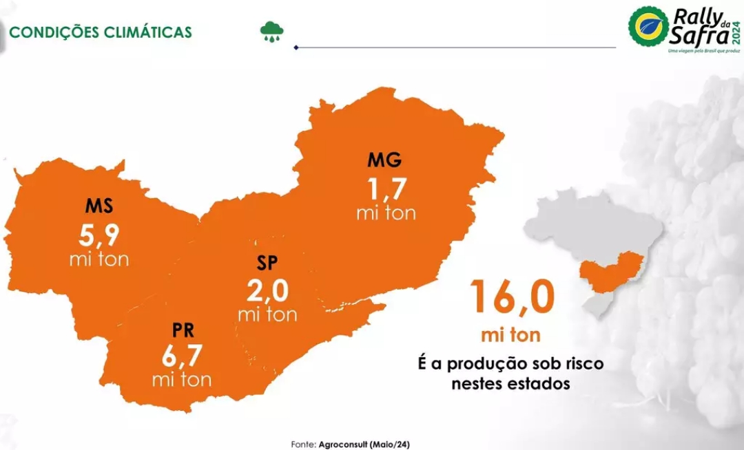 Rally da Safra aponta perdas de produtividade de 30% no milho em MS 