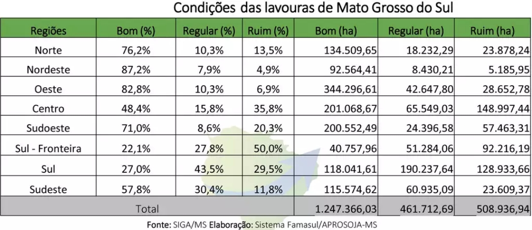 Rally da Safra aponta perdas de produtividade de 30% no milho em MS 