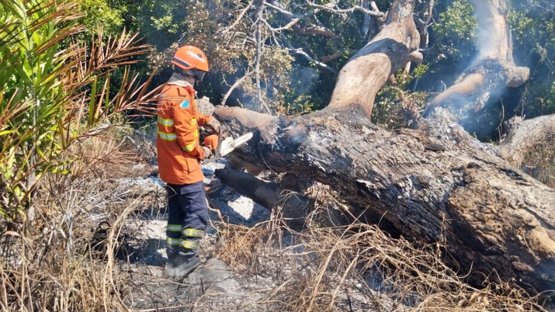 MS tem 133% mais focos de inc&ecirc;ndio neste ano