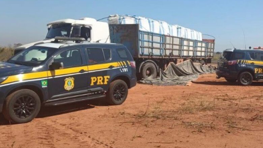 Pol&iacute;cia apreende maconha e coca&iacute;na escondidas em meio a carga de fertilizantes