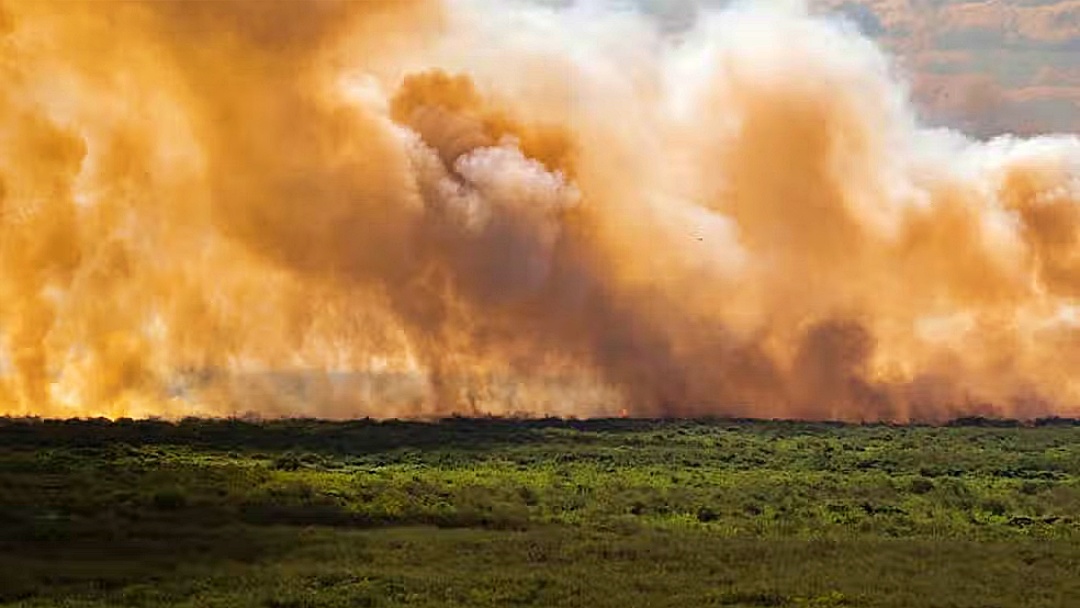 Inc&ecirc;ndios Aumentam 1000% e Bacia do Rio Paraguai em Seca 